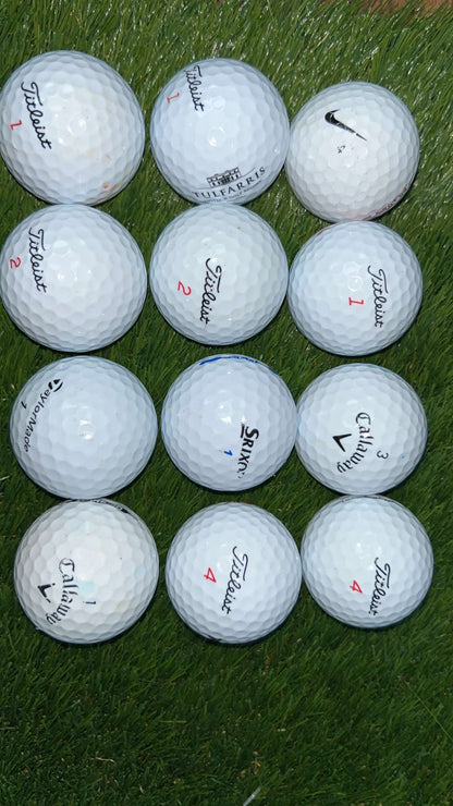 Premium Deluxe - 1 dozen.